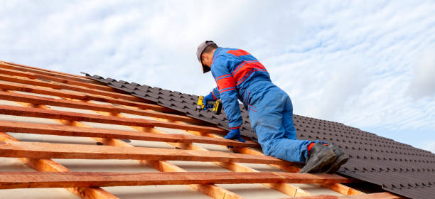 Best Roof Insulation Installation  in Mount Vernon, TX